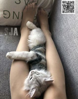 红色使命电视剧免费观看完整版_1080完整版观看